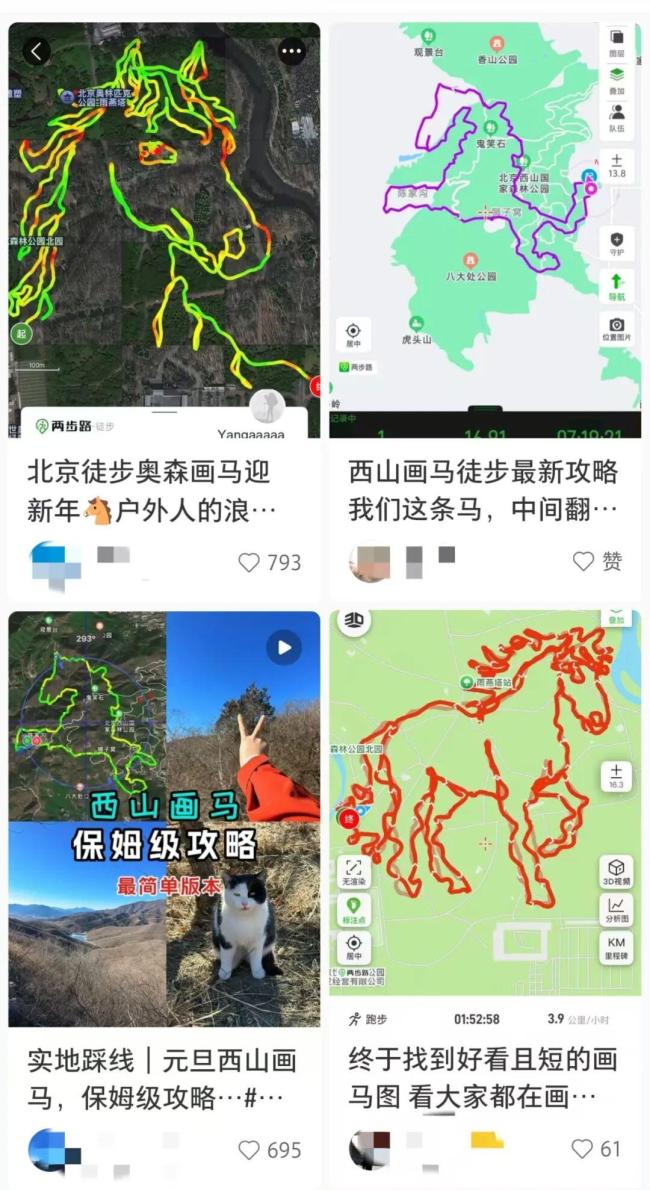 广州“野马”路线被紧急叫停