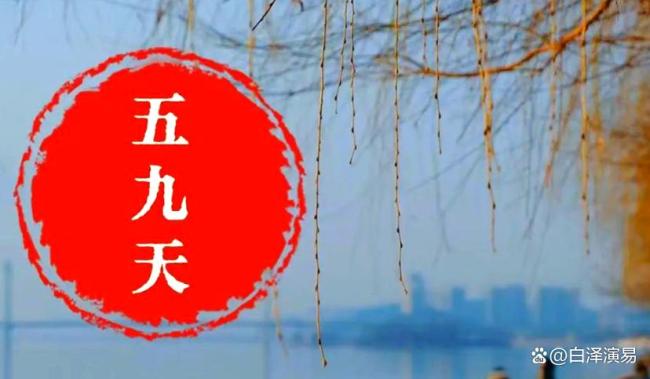 26号进五九,今年五九不一般 春意与寒意交织
