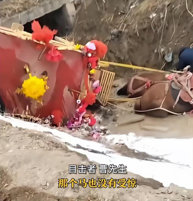新郎新娘坐马车意外翻进沟里