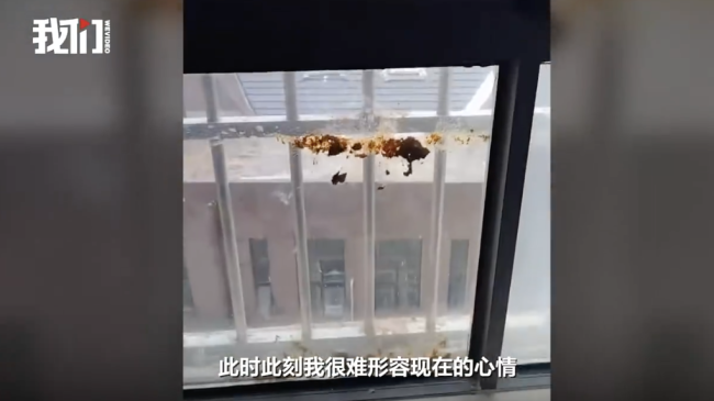高空降下褐色黏稠物布满窗户，高空<strong>91成人视频软件</strong>物业：初查系腌菜酱汁