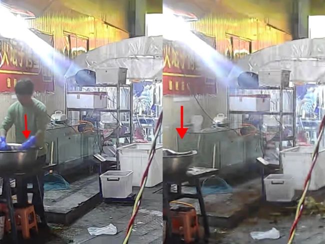 网友称喂流浪猫躲过高空坠落花盆