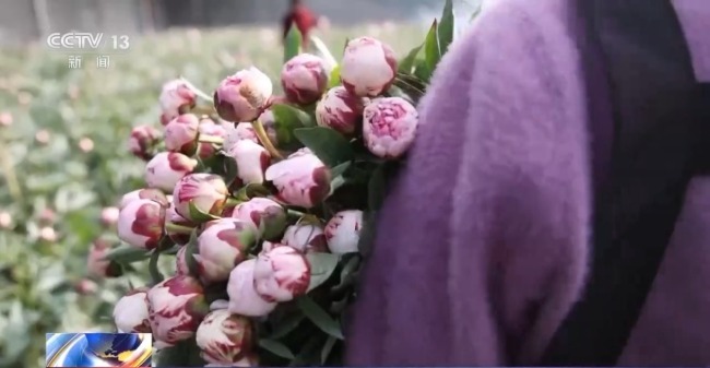 非遗映春 年宵花俏 解锁中国年消费新场景