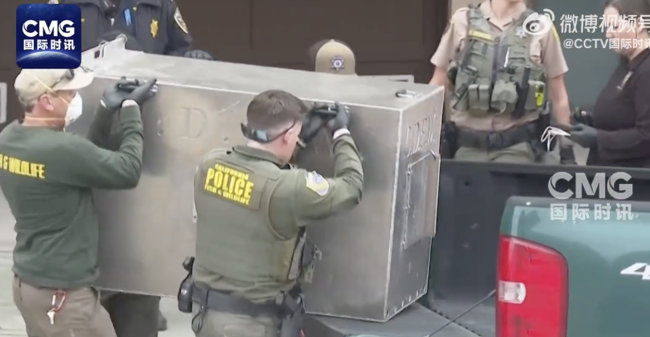 旧金山街头捕获一头美洲狮