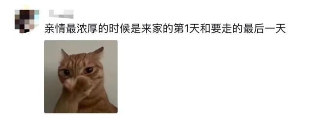 河南一小学全班宣誓寒假不气爸妈 童声嘹亮假期承诺