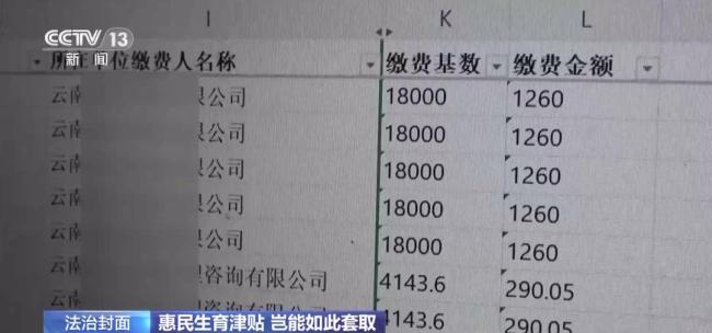 起底造假骗取生育津贴大案 全链条诈骗曝光