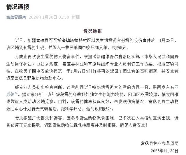 咬伤搭客雪豹又咬死35只羊