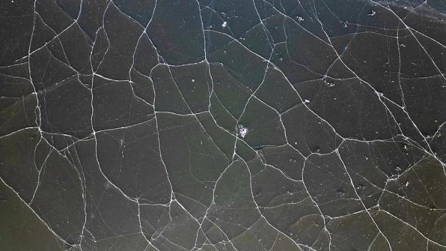 救东谈主大学生葬送前两日仍在献血 热血芳华定格陡然