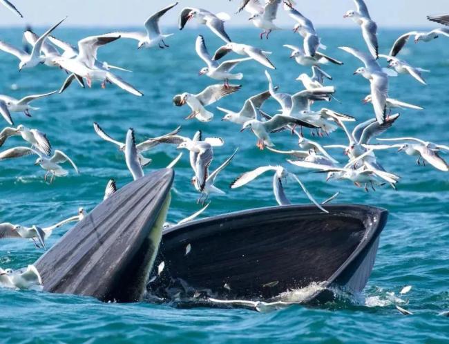 家属修起渔船侧翻船长溺一火 风波大导致悲催