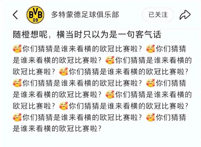 樊振东再回多特蒙德 友情与回忆交织