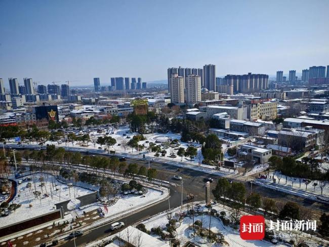 河南21车冻货“偏航”被查扣