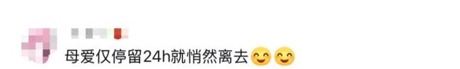 老师带全班宣誓：寒假回家 不气爸妈 童声嘹亮假期承诺