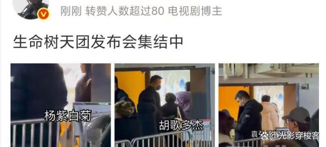 生命树被指剧情要点不明晰 争议四起待解