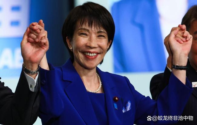 高市早苗手臂受伤 带伤上阵成焦点