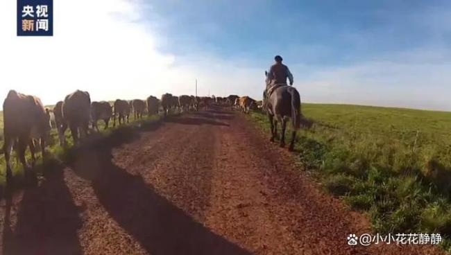 乌拉圭总统运行访华 深化中乌合作新篇章