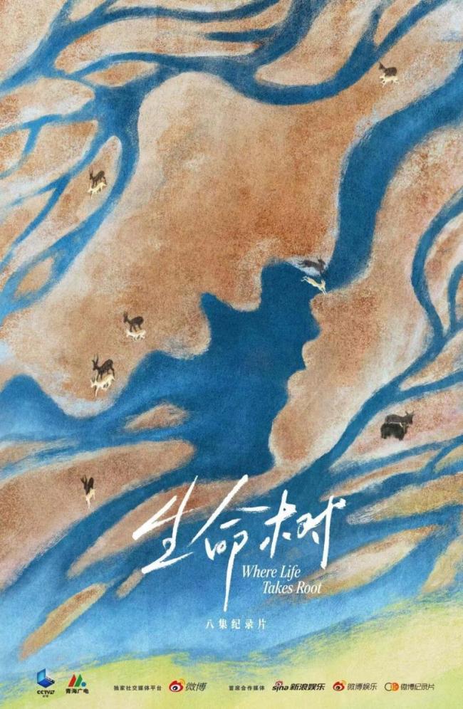 纪录片《生命树》胡歌邂逅暗夜星空 探索生态与宇宙奥秘