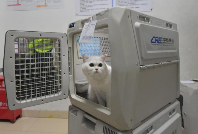 2026年春运今日开启 这些实用信息出行必看