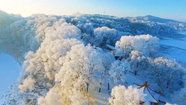 抚顺雪地“真人贪吃蛇”火了