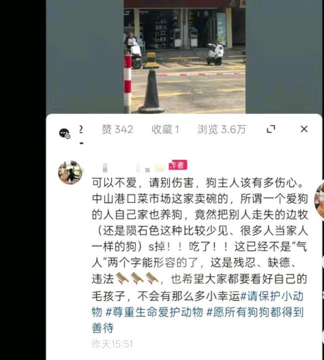 吃掉走失邊牧賠1萬(wàn)3和解 店主也養(yǎng)狗
