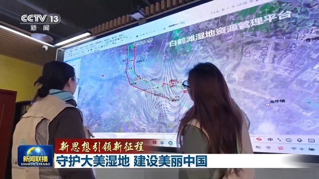 新想想引颈新征途丨看护大好意思湿地 建设飘逸中国