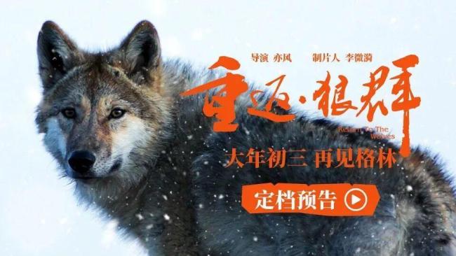 《重返·狼群》大年初三将重映