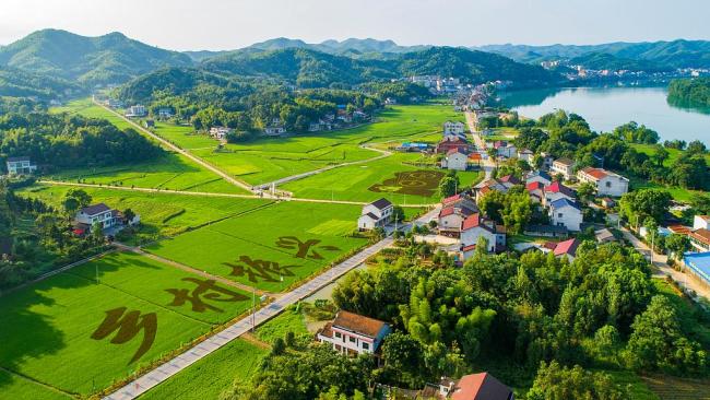 2026中央一号文件里这些红线不能碰 划定“三农”工作重点