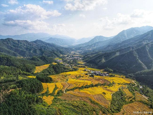 乡间小路偶遇一人一马从容踏雾而行