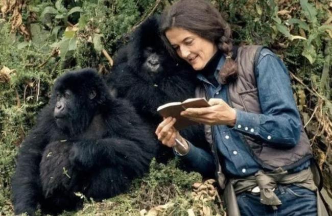 《重返·狼群》翻红带来流量新考题 李微漪与格林的双向奔赴