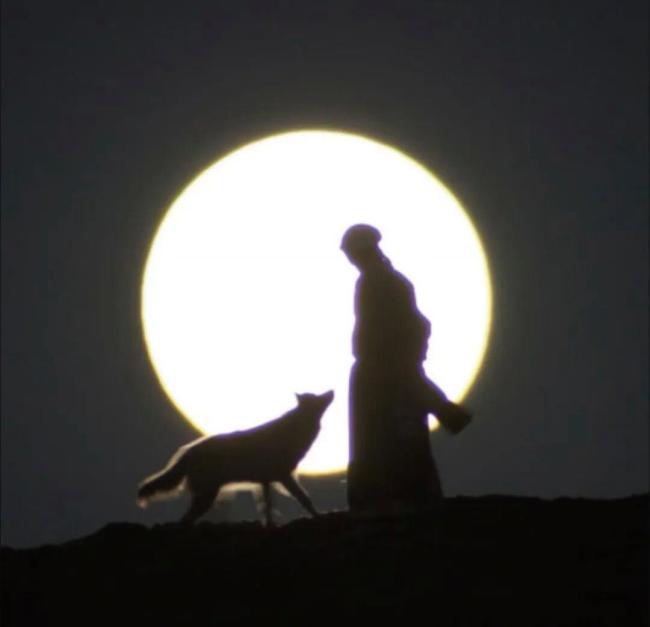 《重返·狼群》翻红带来流量新考题 李微漪与格林的双向奔赴