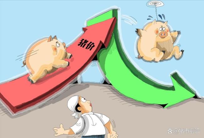 跌跌跌！猪价下跌“跌猛了”