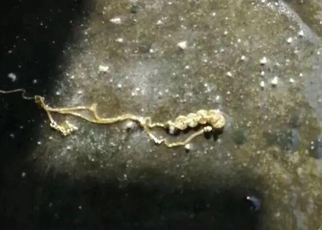 乘客带娃如厕 金项链掉火车便池冲走 乘务员巧手“淘金”成功