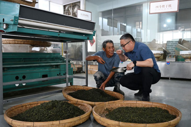 从中央一号文件看2026年“三农”工作路线图