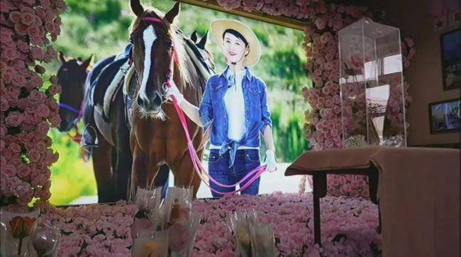 娇龙月季已安放在娇龙厅