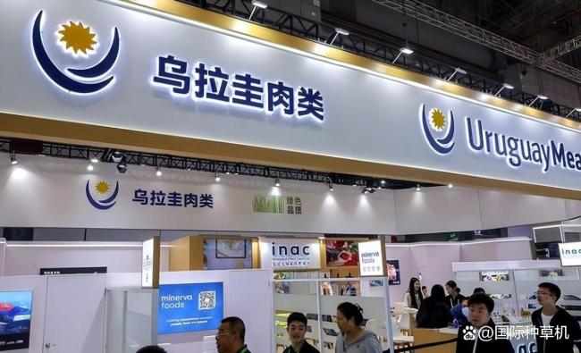 和平饭店奏响名曲欢迎乌拉圭总统