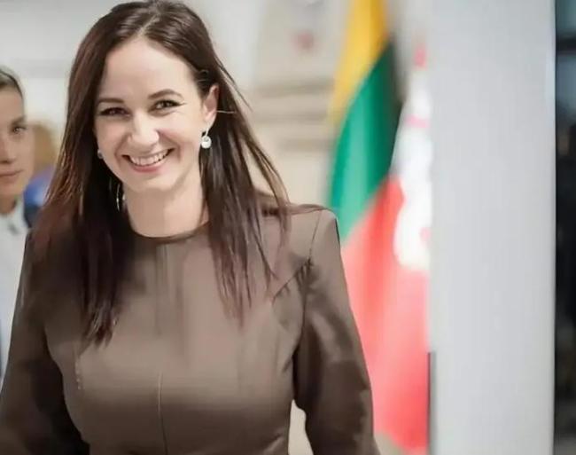 立陶宛承认：对中国犯了大错 经济代价惨重