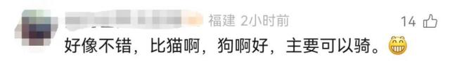 马年“矮脚马”销量暴涨7成，商家：进口售价超5万，国产品种7000元