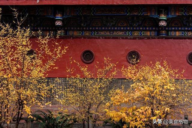 腊月十九扫除灾祸迎好运 启动“标志性清扫”