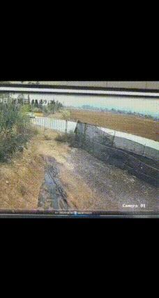 男子从着火电车救下3人手几乎烧废 英勇行为获赞