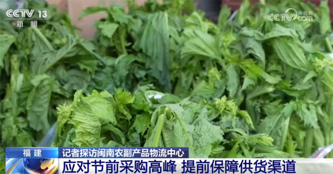 各地多措并举守护市民“菜篮子”供应足、价格稳