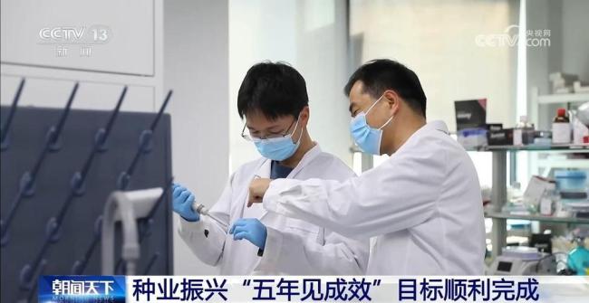 我国完成种业振兴“五年见成效”目标 种业创新迈入世界前列
