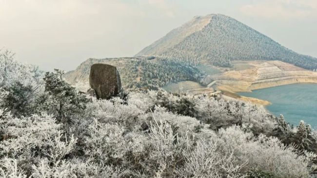 直冲19℃！宁波升温时间确定 春日体验回归