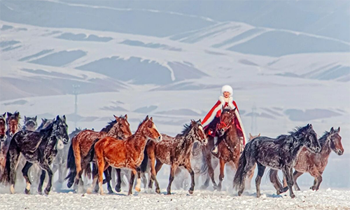 贺娇龙坠马及送医抢救细节露馅
