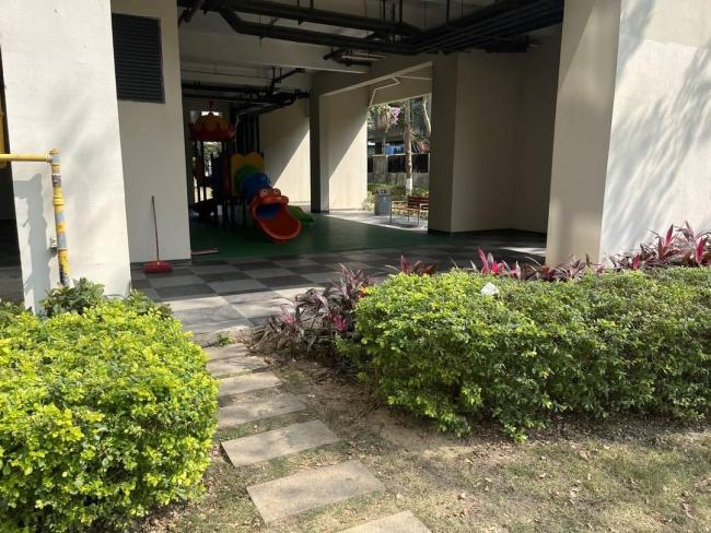 男子在小区用老鼠药毒狗被判刑 投毒者获刑一年十个月