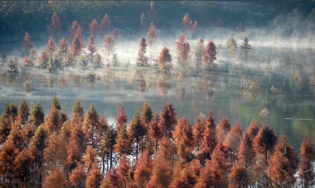 与东说念主相处能行径端淑的窍门 保执庸碌心