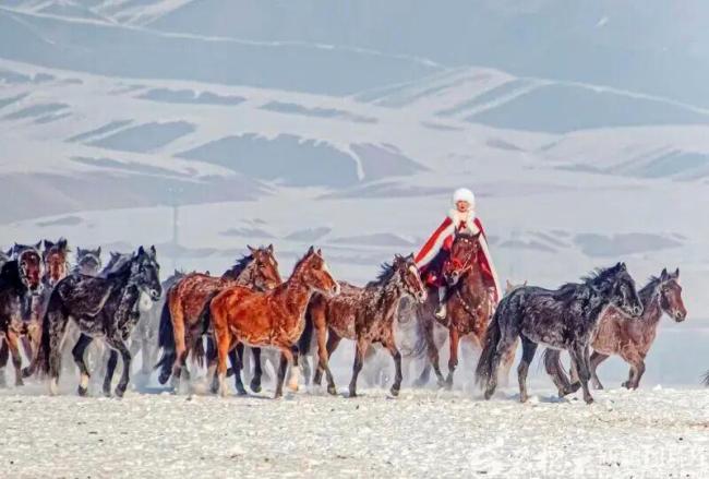 贺娇龙受伤救治细节披露：最后的电话打给拍摄团队，诊断为重度颅脑损伤，接受2次开颅手术