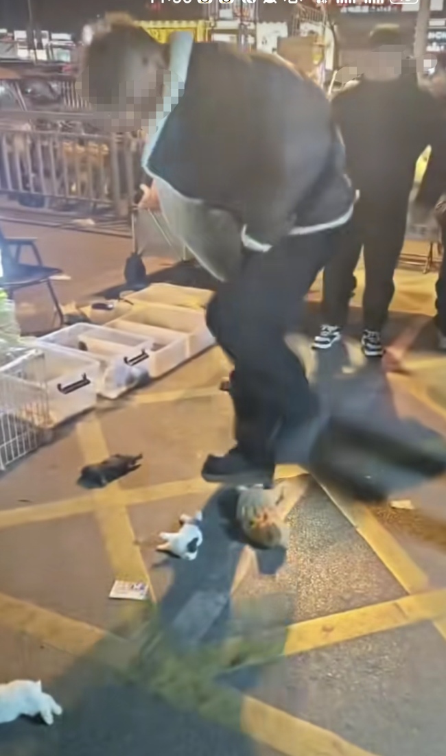 警方已带走摔打踩踏兔子涉事商贩