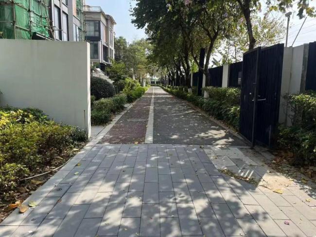 男子投毒多只宠物狗获刑 自首减轻处罚