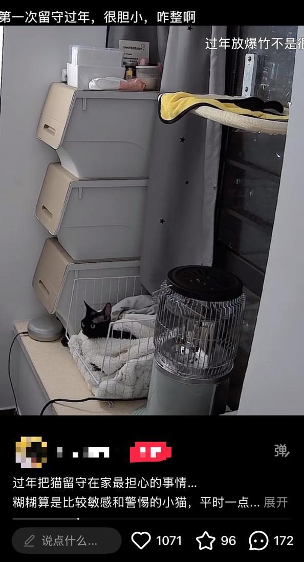 春节多地限时限区燃放烟花爆竹,人类的节日宠物的难日,为何宠物害怕鞭炮声!