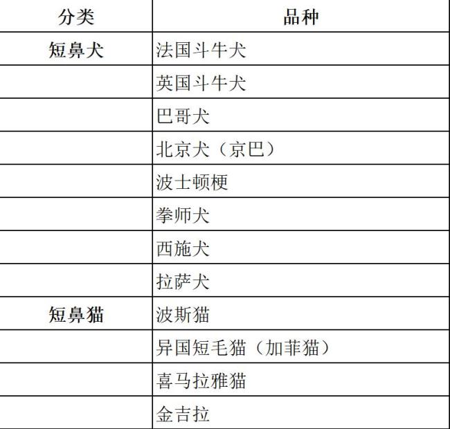 春节多地限时限区燃放烟花爆竹,人类的节日宠物的难日,为何宠物害怕鞭炮声!