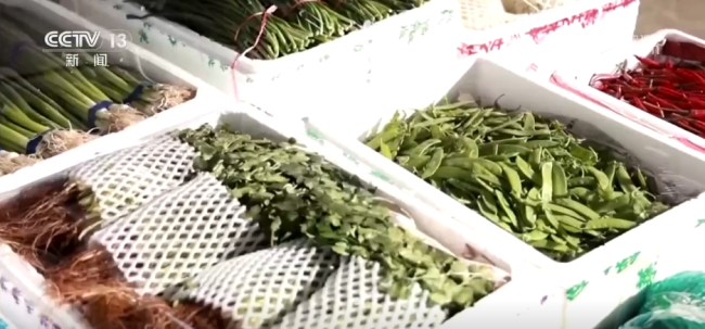 活力足，迎新春！各地“年味”上线氛围感已拉满