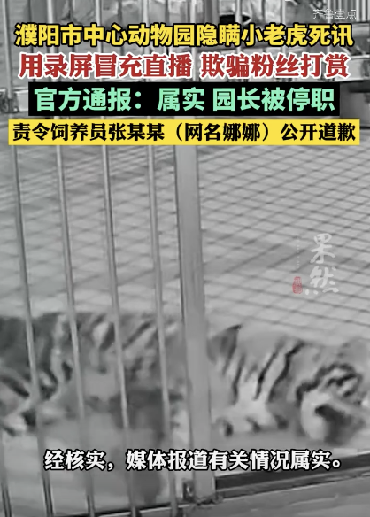 官方通报动物园小老虎死亡被隐瞒